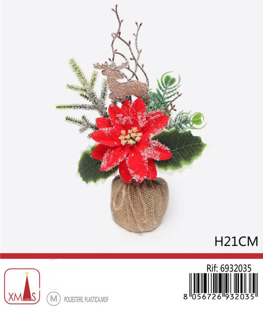 NATALIZIA piantte H21cm